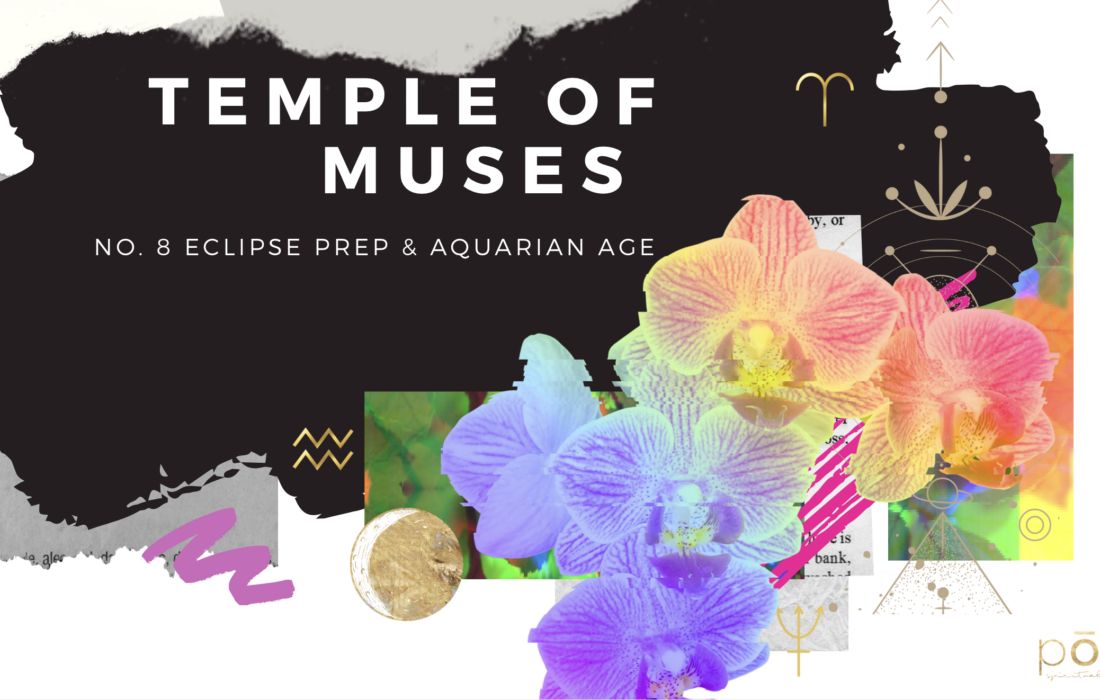 2024 April Eclipse Prep, Kundalini Awakenings, & Muse News